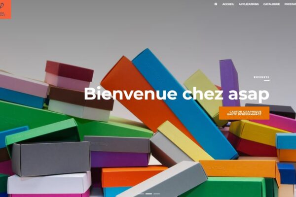 asap-sa.fr