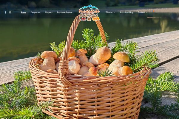 bunatatileraraului.com