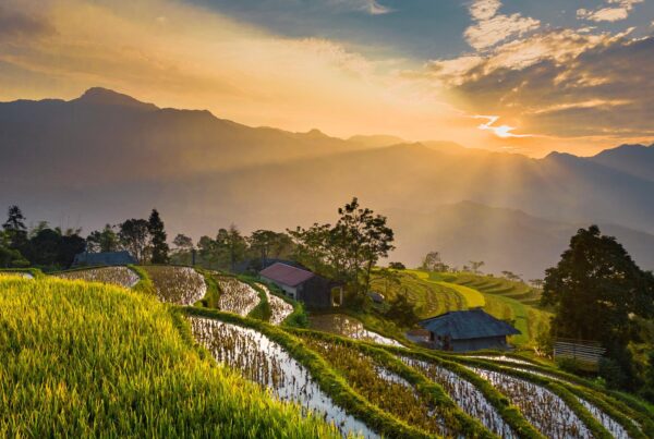 From a mind based reality to a presence filled reality