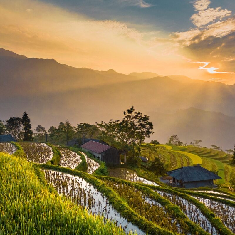 From a mind based reality to a presence filled reality